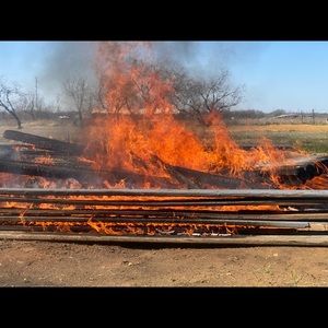 Meet your Posher, Tanya